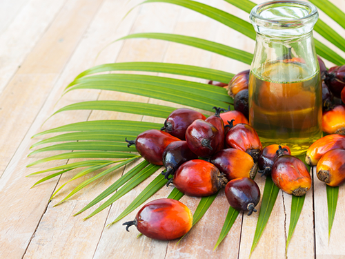 Palm Oil